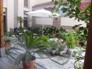 Plantas y flores para su estancia en el hotel abadia
