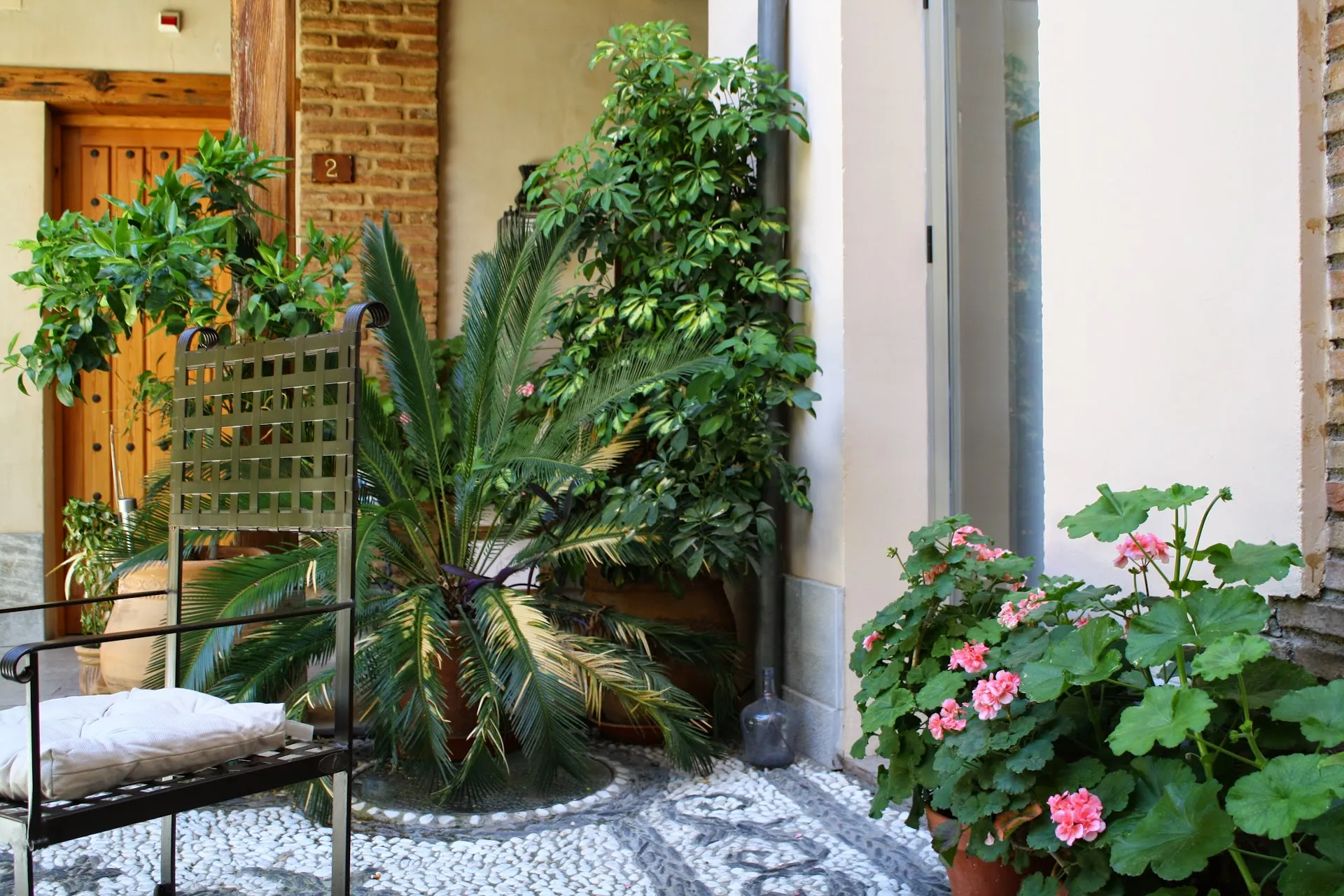 A corner of the courtyard