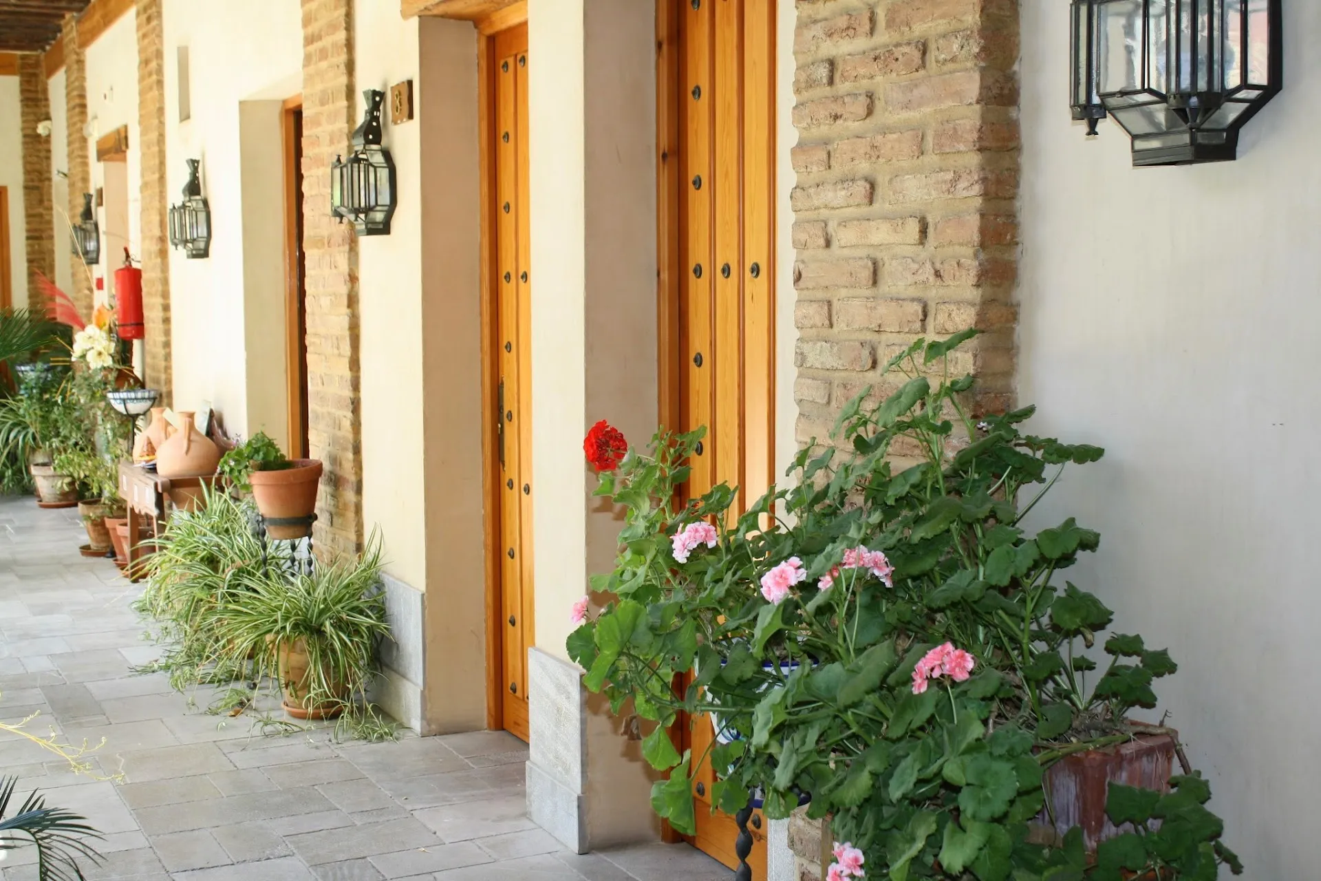 Geraniums along the courtyard galleries